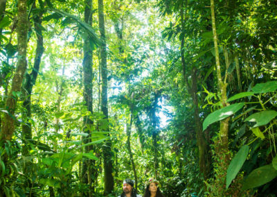 Rainforest wedding